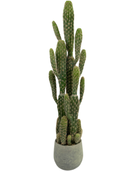 Greenmoods Kunstig Kaktus "Euphorbia" 100 cm