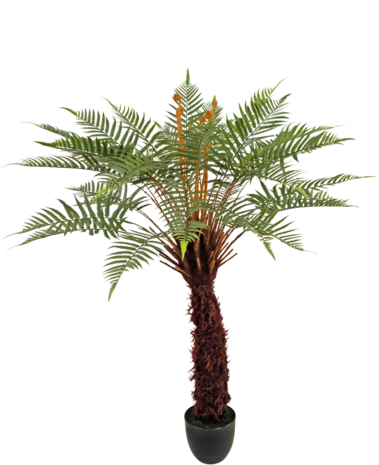 Greenmoods Kunstig plante Dicksonia 127 cm