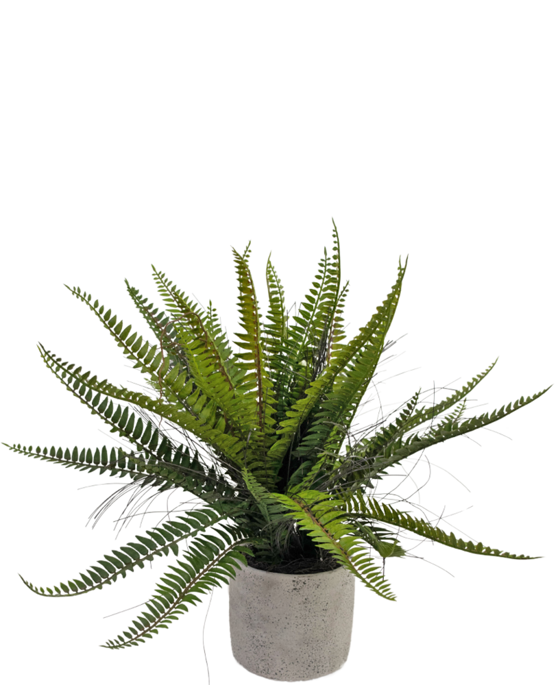 Greenmoods Kunstig plante Boston Fern 48 cm i dekorativ potte