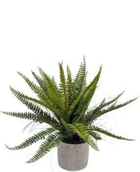 Greenmoods Kunstig plante Boston Fern 48 cm i dekorativ potte