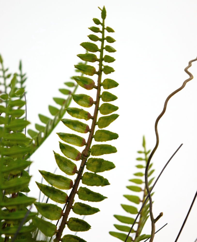 Greenmoods Kunstig plante Boston Fern 48 cm i dekorativ potte