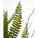 Greenmoods Kunstig plante Boston Fern 48 cm i dekorativ potte