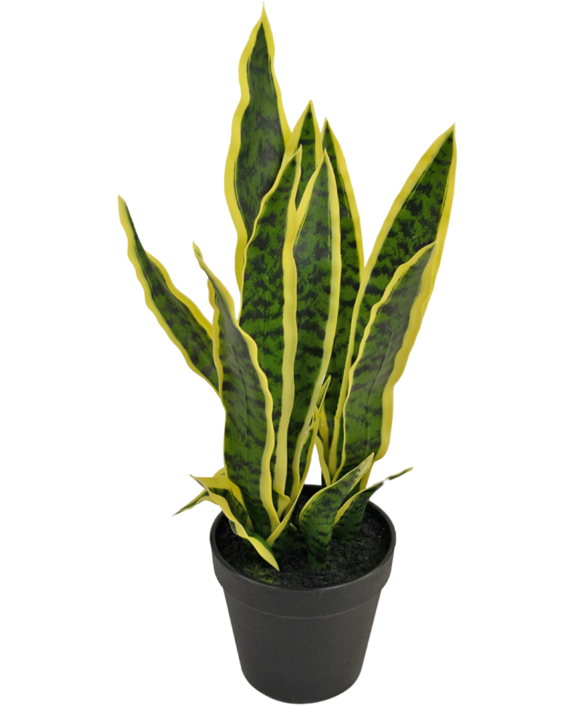 Greenmoods Kunstig plante Sansevieria Laurentii 44 cm