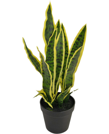 Greenmoods Kunstig plante Sansevieria Laurentii 44 cm