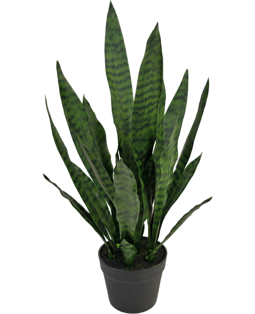 Greenmoods Kunstig plante Sansevieria Zeylanica 71 cm