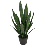 Greenmoods Kunstig plante Sansevieria Zeylanica 71 cm
