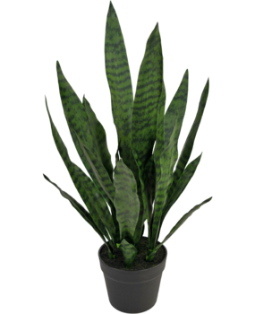 Greenmoods Kunstig plante Sansevieria Zeylanica 71 cm