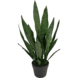 Greenmoods Kunstig plante Sansevieria Zeylanica 71 cm