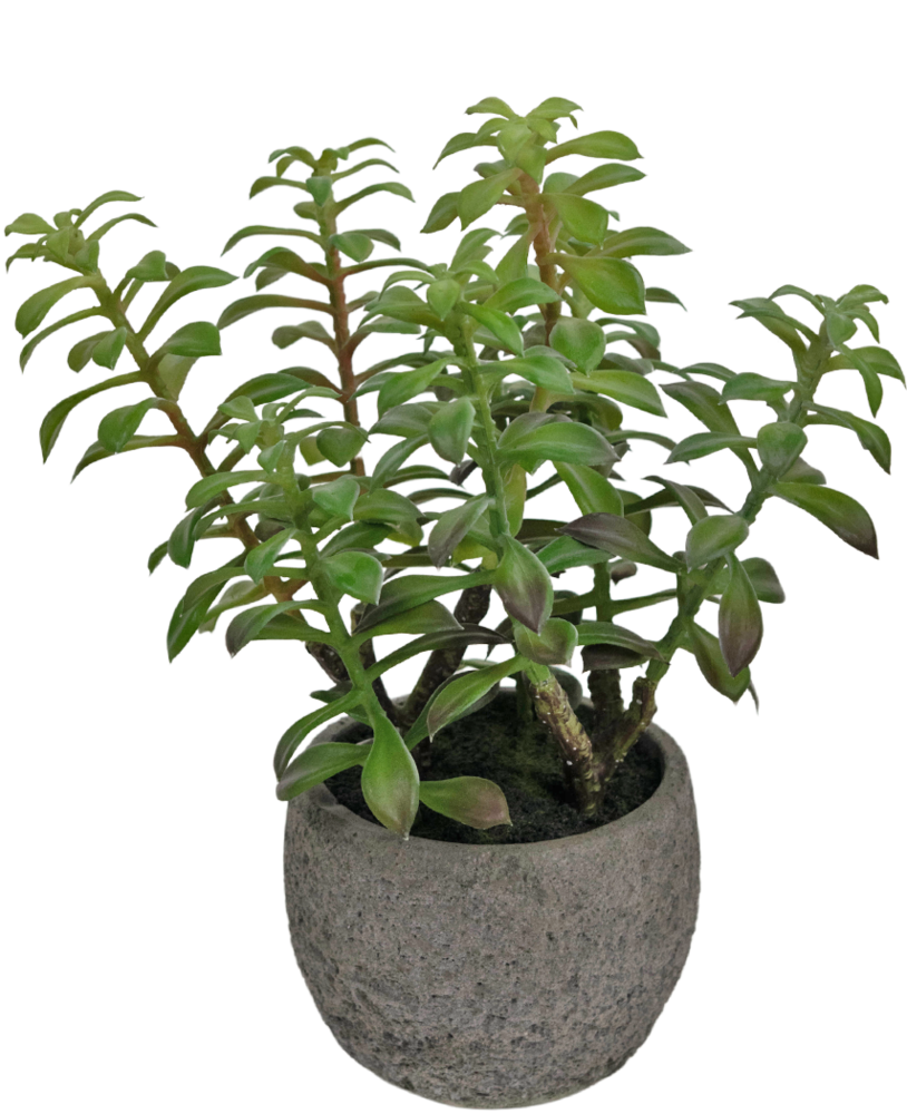 Greenmoods Kunstig Sukkulent i Dekorativ Potte 31cm