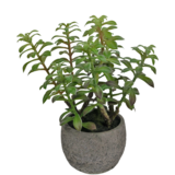 Greenmoods Kunstig Sukkulent i Dekorativ Potte 31cm