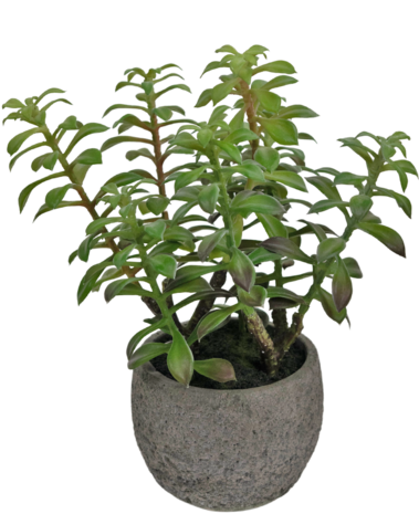 Greenmoods Kunstig Sukkulent i Dekorativ Potte 31cm