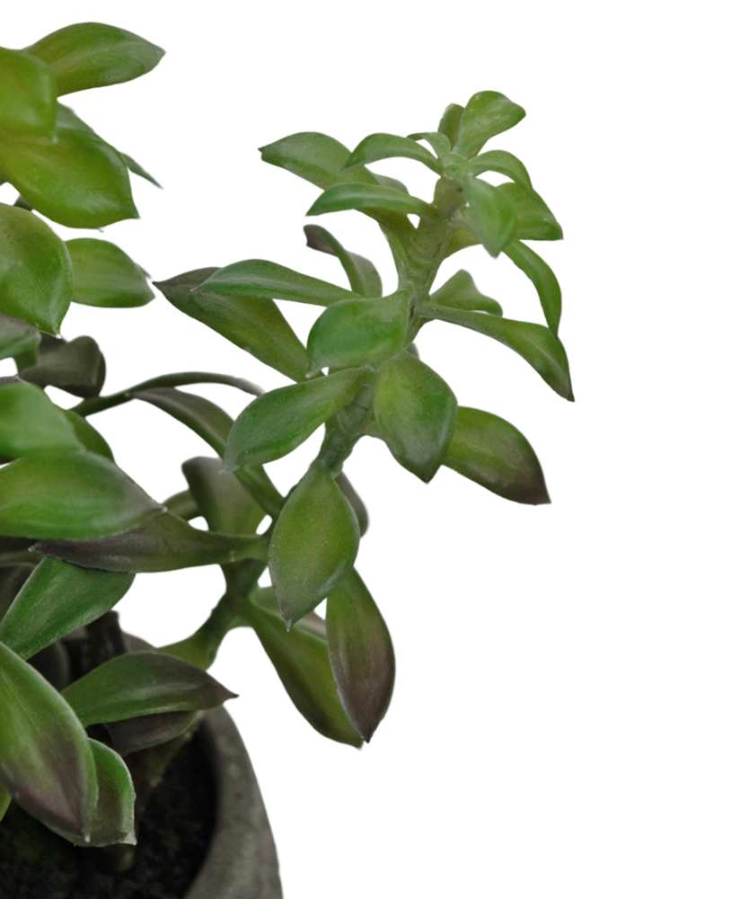 Greenmoods Kunstig Sukkulent i Dekorativ Potte 31cm