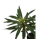 Greenmoods Kunstig Agave Plante Grønn 76cm