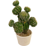 Greenmoods Kunstig Kaktus "Pinnsvinkaktus" 32 cm