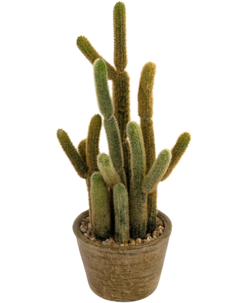 Greenmoods Kunstig Kaktus "Cereus" 35cm