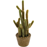 Greenmoods Kunstig Kaktus "Cereus" 35cm