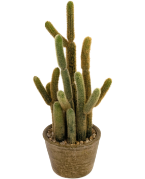Greenmoods Kunstig Kaktus "Cereus" 35cm