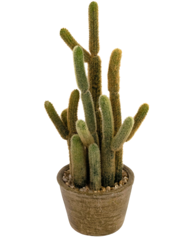Greenmoods Kunstig Kaktus "Cereus" 35cm