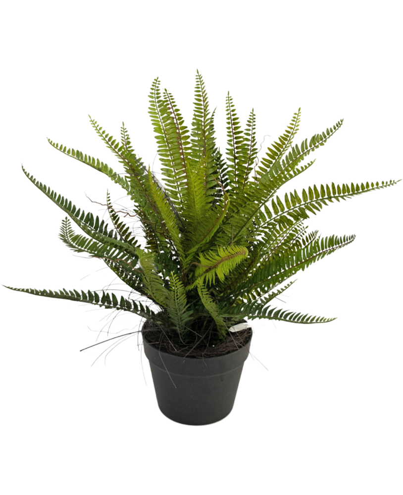 Greenmoods Kunstig Boston Bregne 53cm