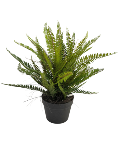 Greenmoods Kunstig Boston Bregne 53cm