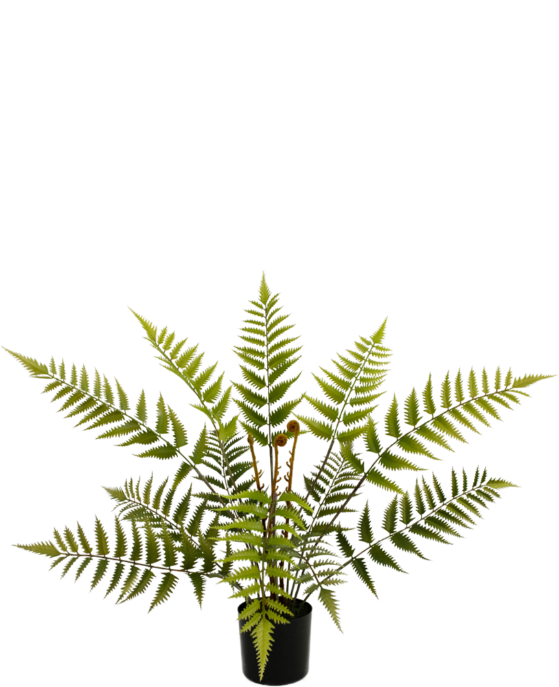 Greenmoods Kunstig plante Bregne 68 cm