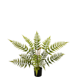 Greenmoods Kunstig plante Bregne 68 cm