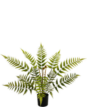 Greenmoods Kunstig plante Bregne 68 cm
