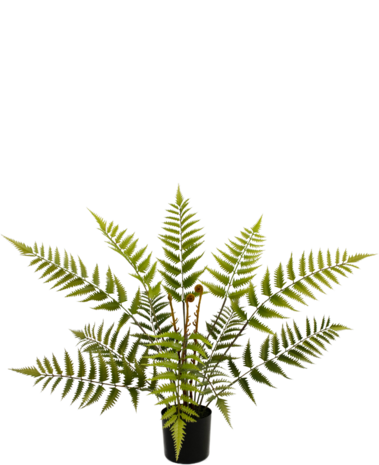 Greenmoods Kunstig plante Bregne 68 cm