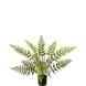 Greenmoods Kunstig plante Bregne 68 cm