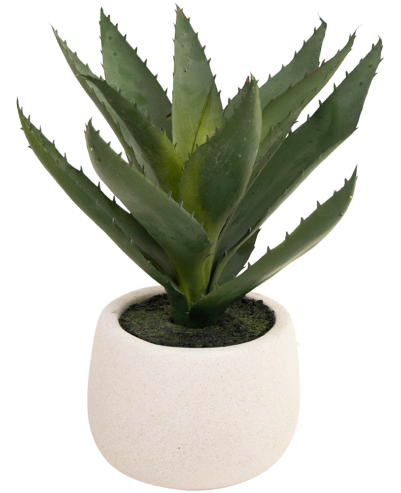 Greenmoods Kunstig plante Aloe Vera 28 cm i dekorativ potte