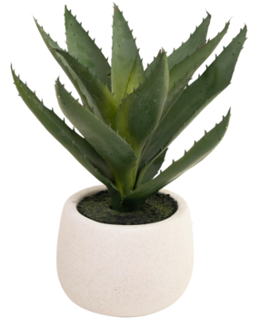 Greenmoods Kunstig plante Aloe Vera 28 cm i dekorativ potte