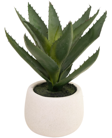 Greenmoods Kunstig plante Aloe Vera 28 cm i dekorativ potte