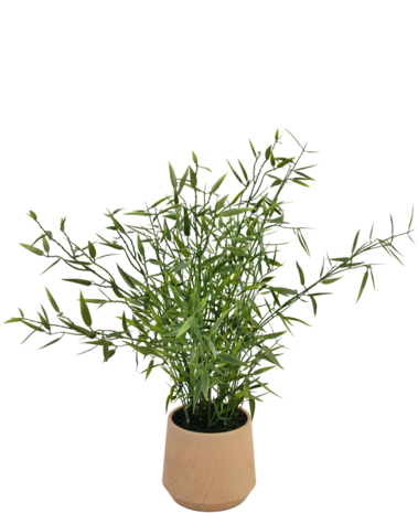 Greenmoods Kunstig Bambus i Krukke 43 cm