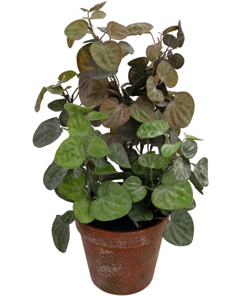 Greenmoods Kunstig Peperomia 35cm