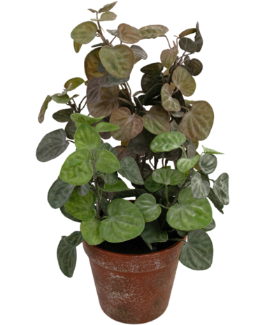 Greenmoods Kunstig Peperomia 35cm