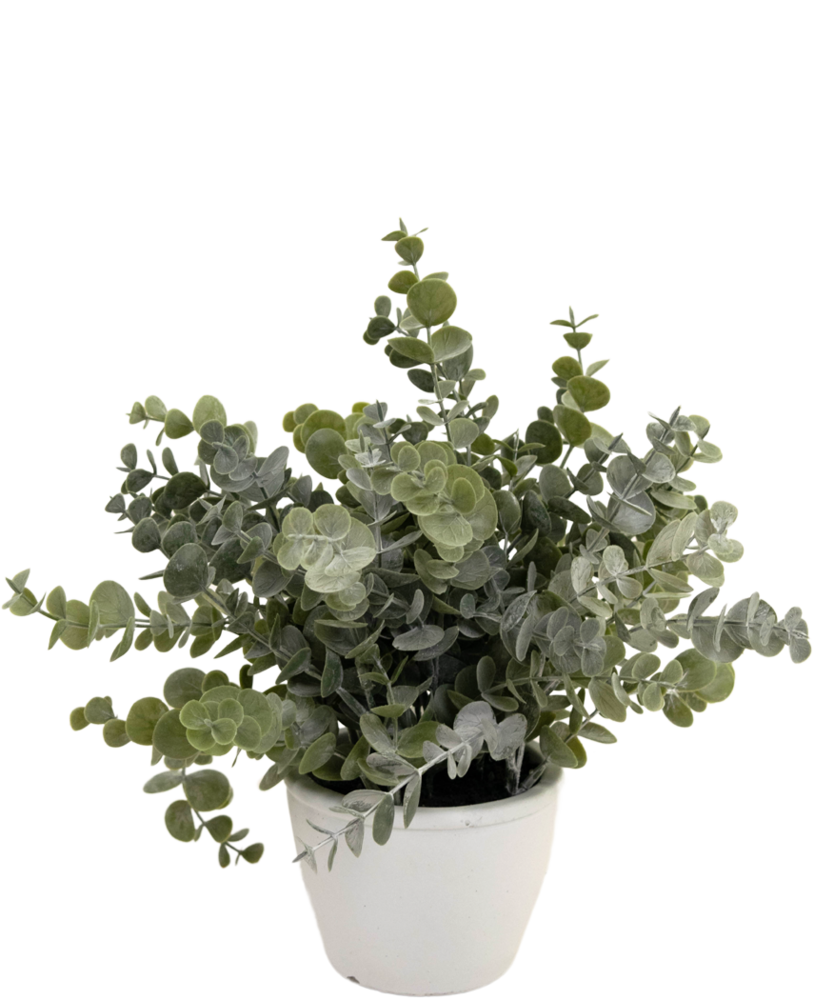 Greenmoods Kunstig Eukalyptus i Krukke 23cm