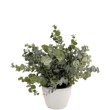 Greenmoods Kunstig Eukalyptus i Krukke 23cm