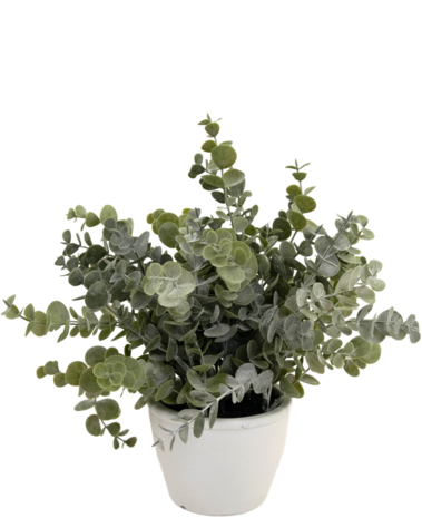 Greenmoods Kunstig Eukalyptus i Krukke 23cm