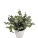 Greenmoods Kunstig Eukalyptus i Krukke 23cm