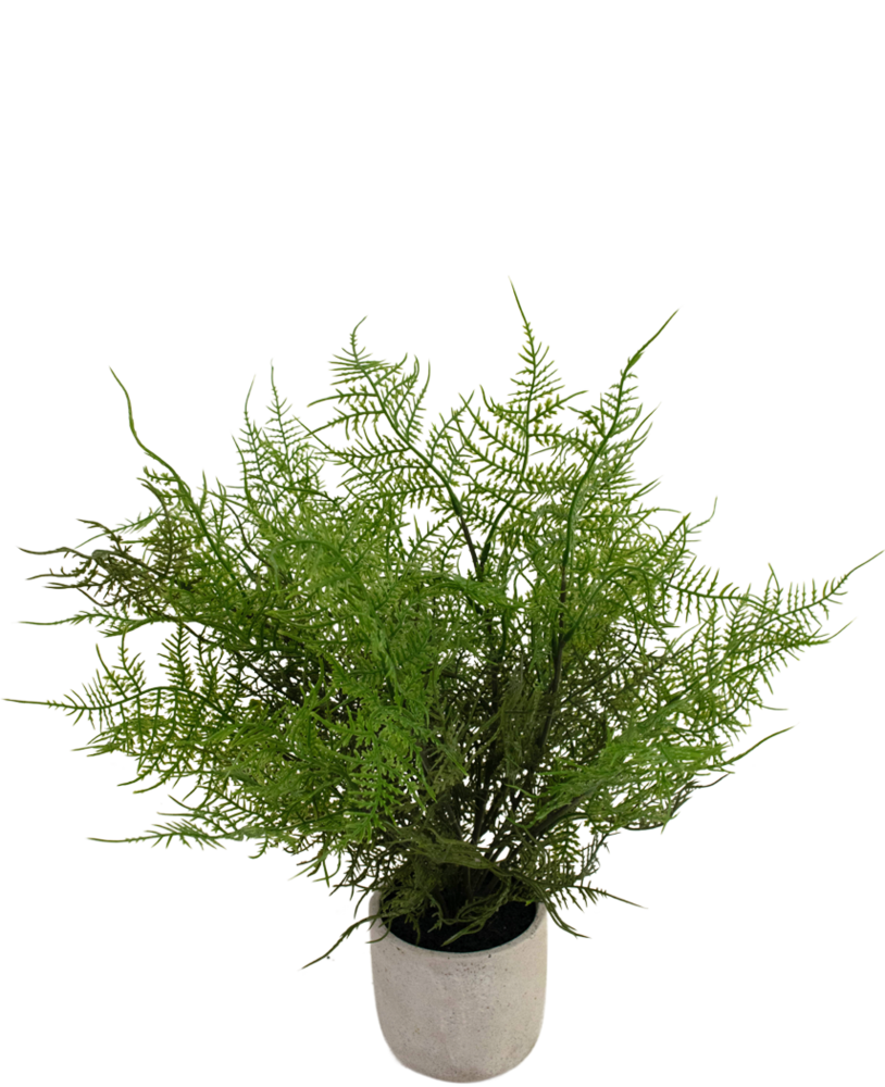 Greenmoods Kunstig Aspargesbregne i Krukke 43 cm