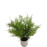 Greenmoods Kunstig Aspargesbregne i Krukke 43 cm