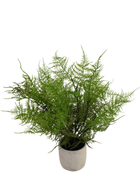 Greenmoods Kunstig Aspargesbregne i Krukke 43 cm