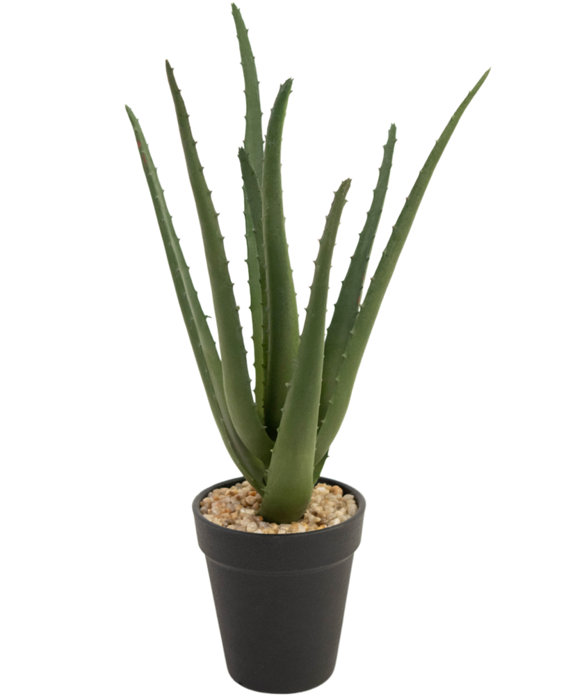 Greenmoods Kunstig Aloe Vera 33 cm