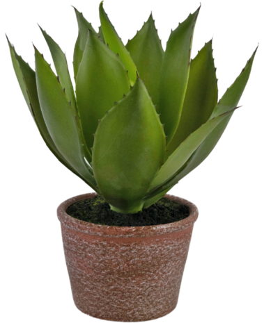 Greenmoods Kunstig "CowHorn" Agave Grønn 25 cm