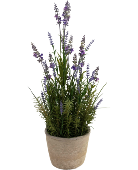 Greenmoods Kunstig Lavendel i Krukke 51cm