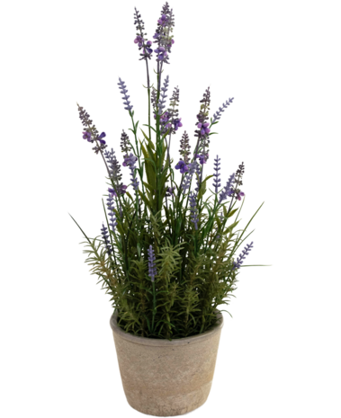 Greenmoods Kunstig Lavendel i Krukke 51cm