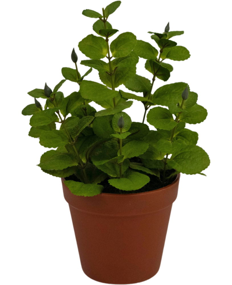Greenmoods Kunstig Krydderplante Mynte 30 cm