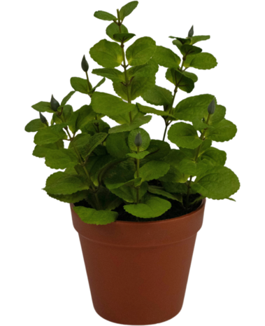 Greenmoods Kunstig Krydderplante Mynte 30 cm