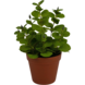 Greenmoods Kunstig Krydderplante Mynte 30 cm