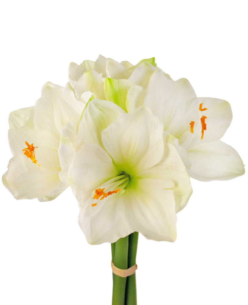 Greenmoods Kunstig Amaryllisblomst Hvit 36cm